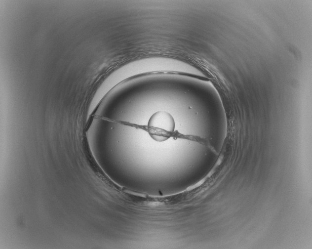 X0000116570509200912101513