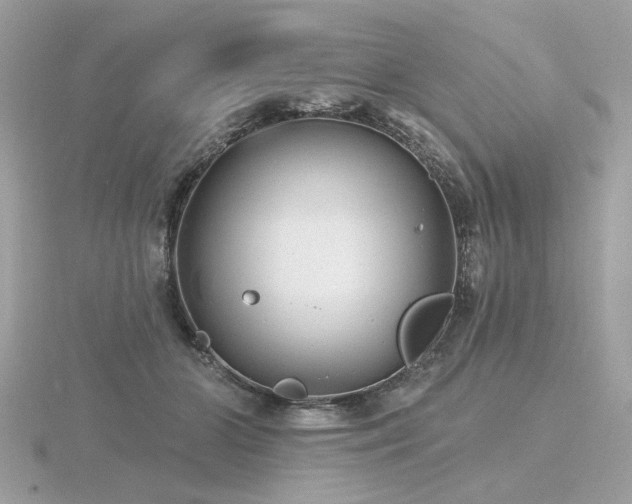 X0000116570510200912101513