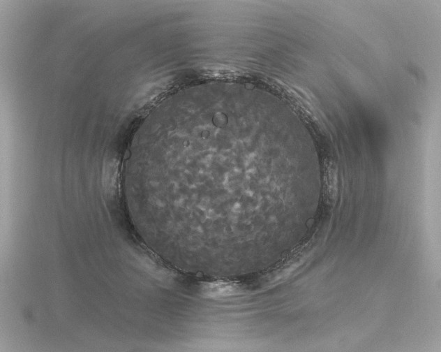 X0000116570511200912101513