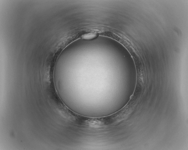 X0000116570512200912101513