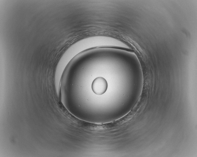 X0000116570513200912101513