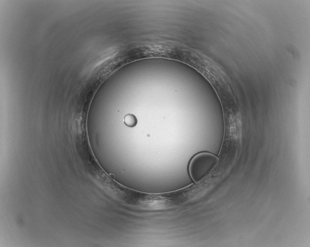 X0000116570514200912101513