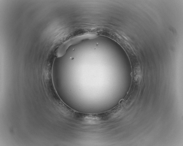 X0000116570515200912101513