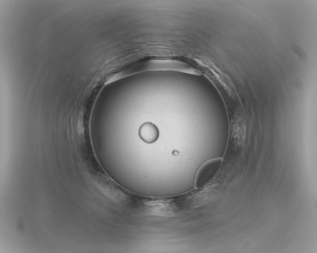 X0000116570516200912101513