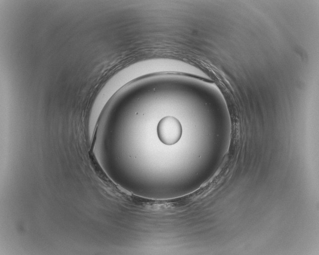 X0000116570517200912101513