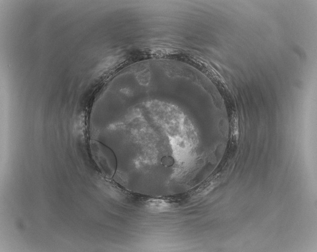 X0000116570519200912101513