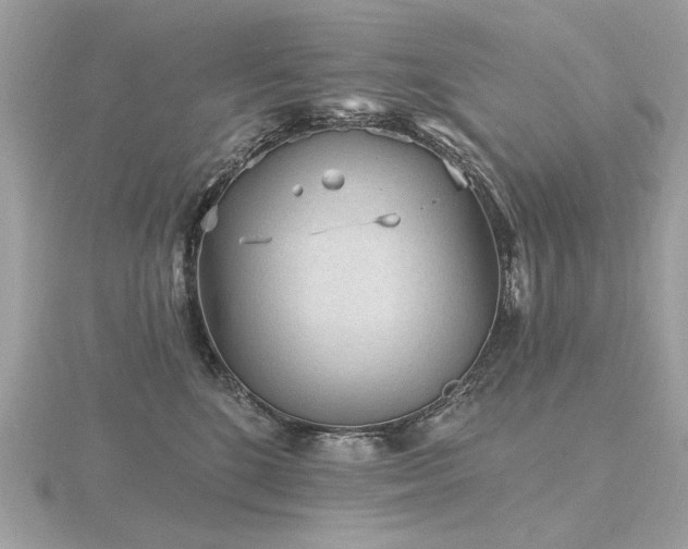 X0000116570520200912101513