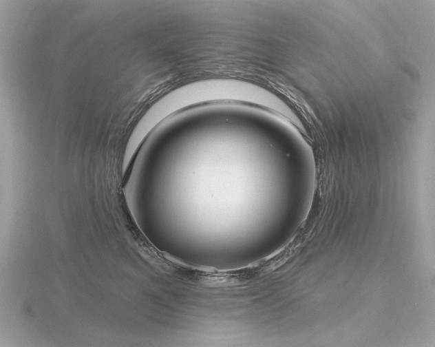 X0000116570521200912101513