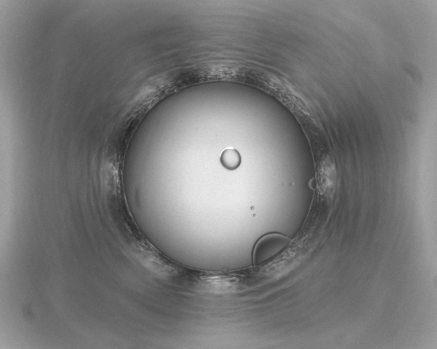 X0000116570522200912101513