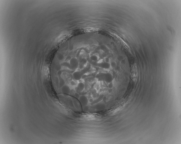 X0000116570523200912101513