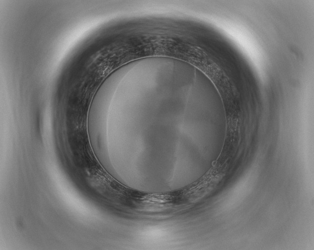 X0000116570526200912101513