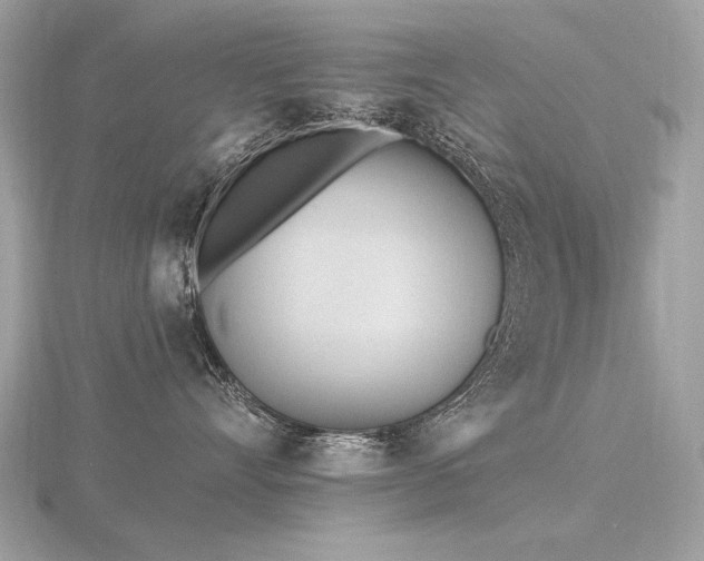 X0000116570528200912101513