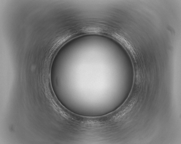 X0000116570529200912101512