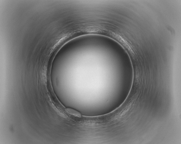 X0000116570530200912101512