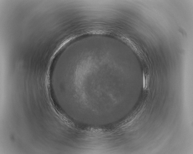 X0000116570531200912101512