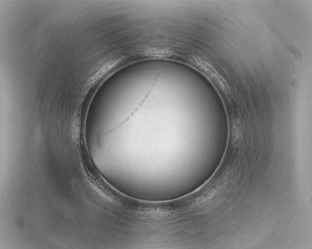 X0000116570533200912101512