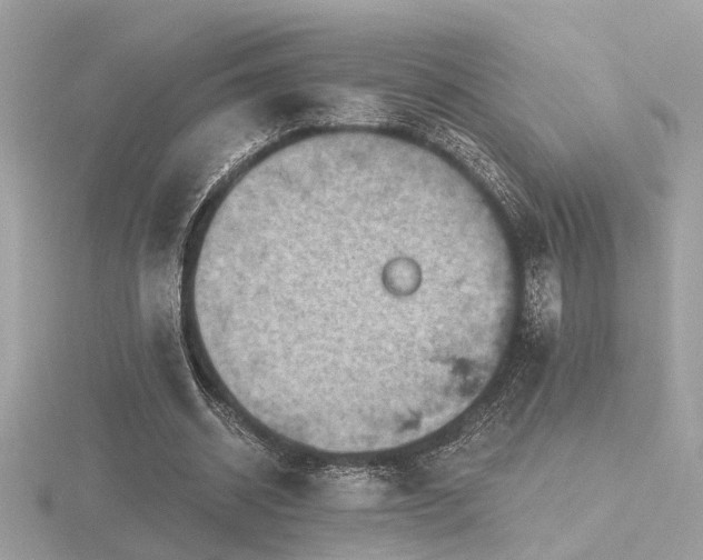 X0000116570534200912101512