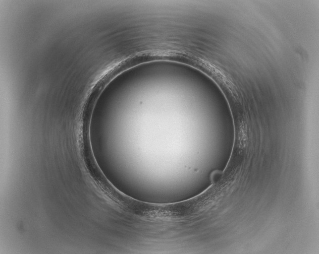 X0000116570535200912101512