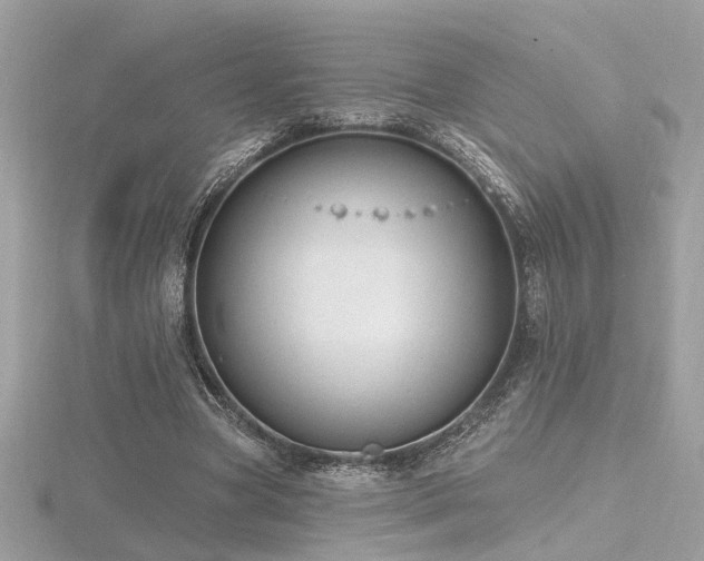 X0000116570537200912101512