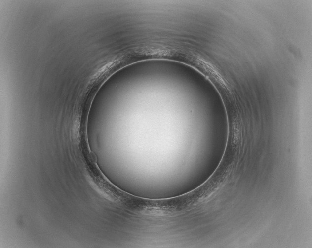 X0000116570538200912101512