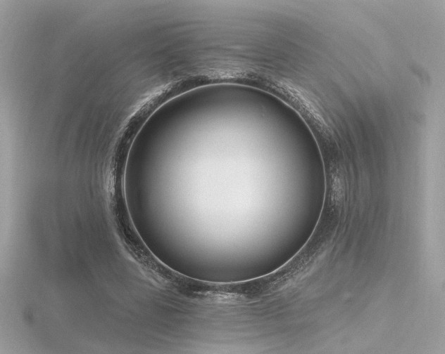 X0000116570539200912101512