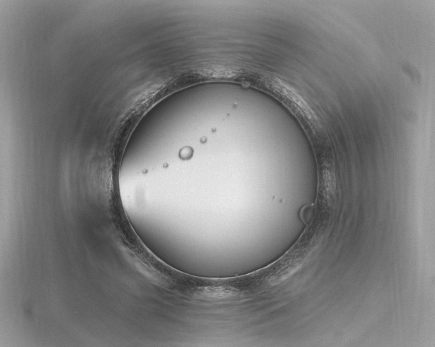 X0000116570541200912101512