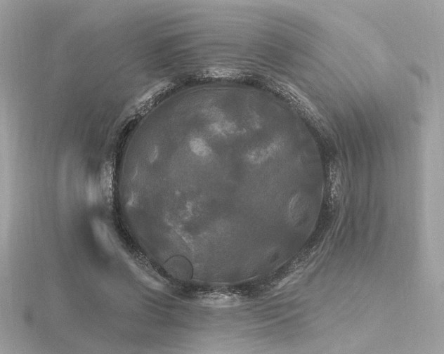 X0000116570542200912101512