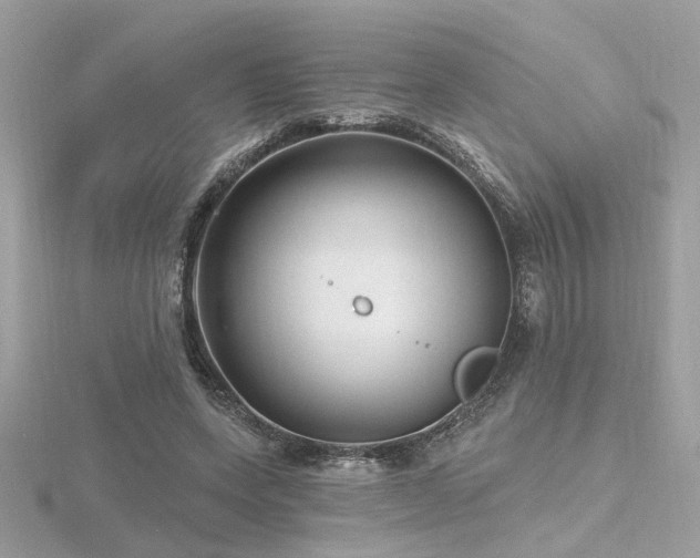 X0000116570543200912101512