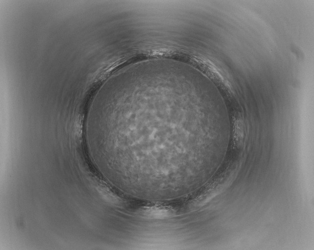 X0000116570545200912101512