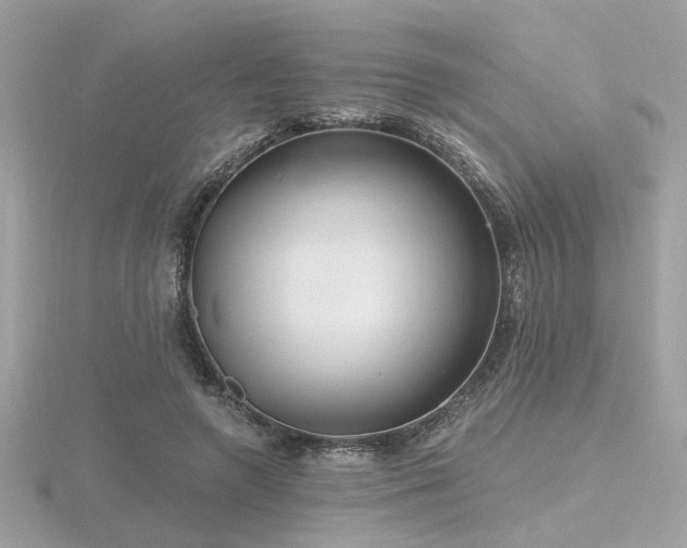 X0000116570546200912101512