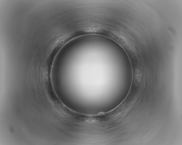 X0000116570547200912101512