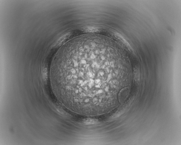 X0000116570549200912101512