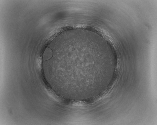 X0000116570550200912101512