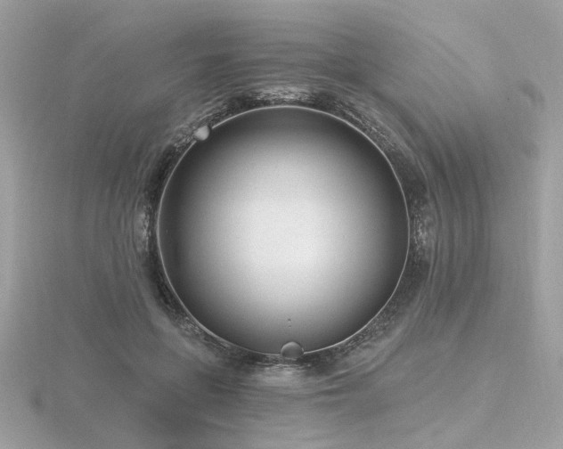 X0000116570551200912101512