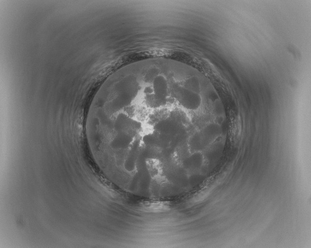 X0000116570553200912101512