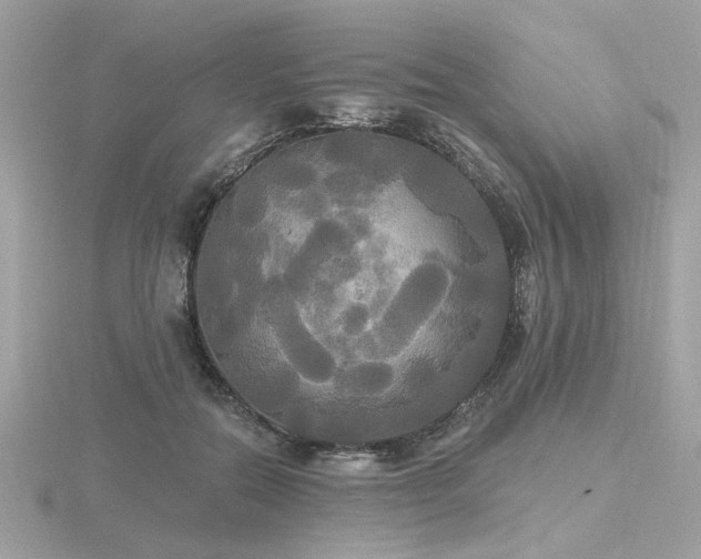 X0000116570554200912101512