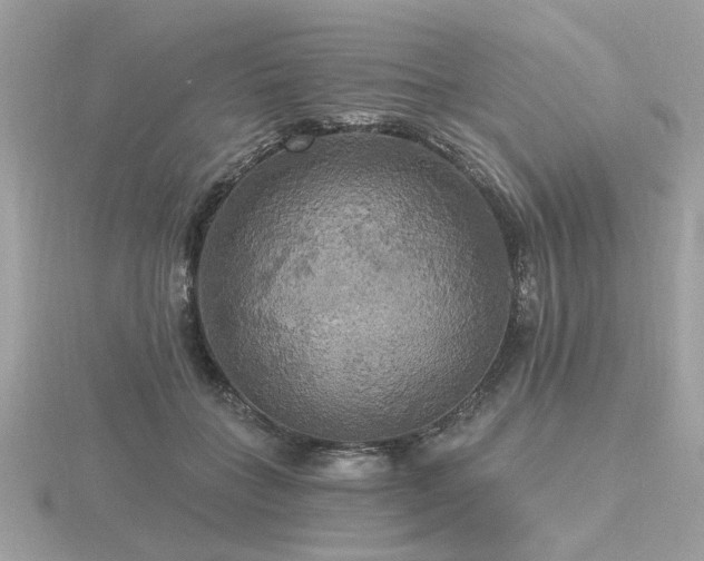 X0000116570555200912101512