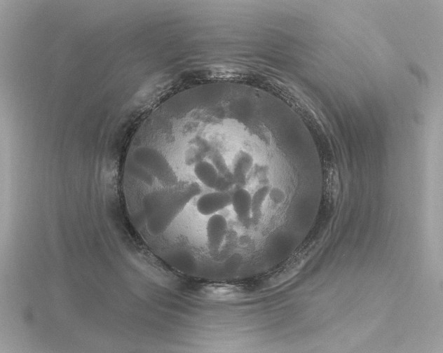 X0000116570557200912101512