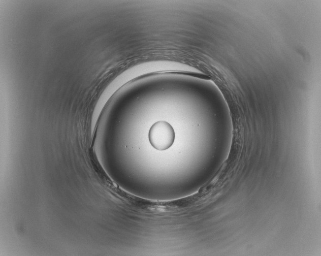 X0000116570558200912101512