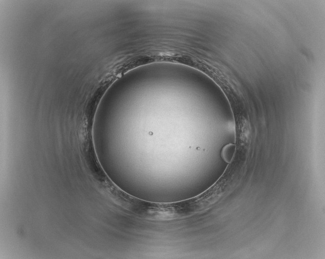 X0000116570559200912101512