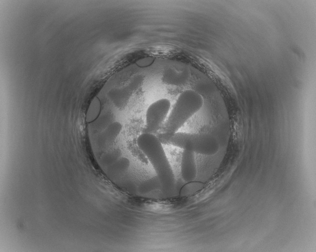 X0000116570561200912101512