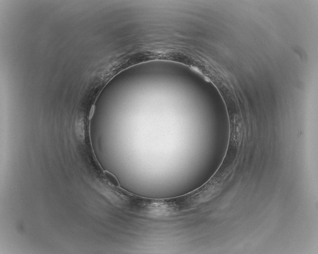 X0000116570562200912101512