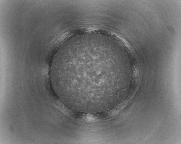 X0000116570565200912101512