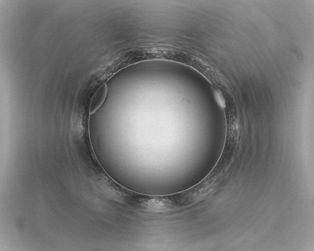 X0000116570566200912101512