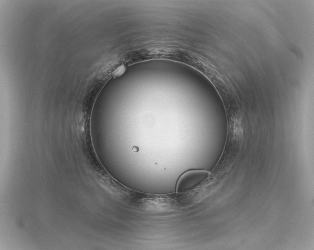 X0000116570567200912101512