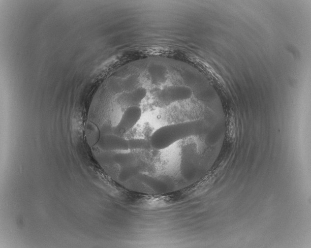 X0000116570569200912101513