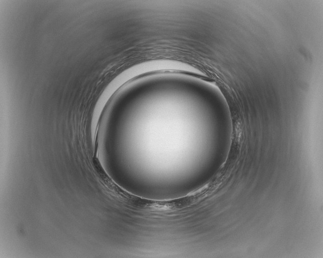 X0000116570570200912101513