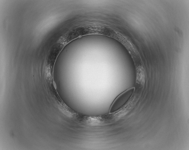 X0000116570573200912101513