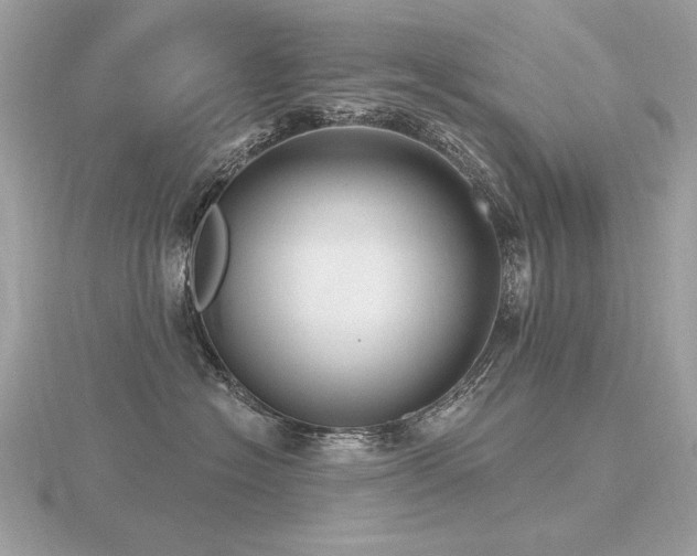 X0000116570574200912101513