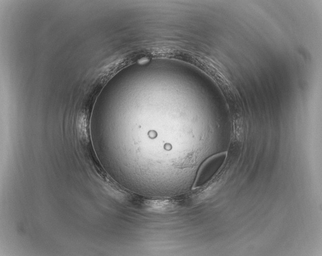 X0000116570575200912101513